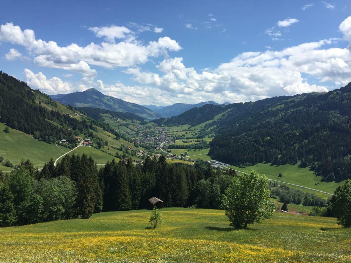 Sonnenalp Bergruhe Apartamento Niederau Exterior foto
